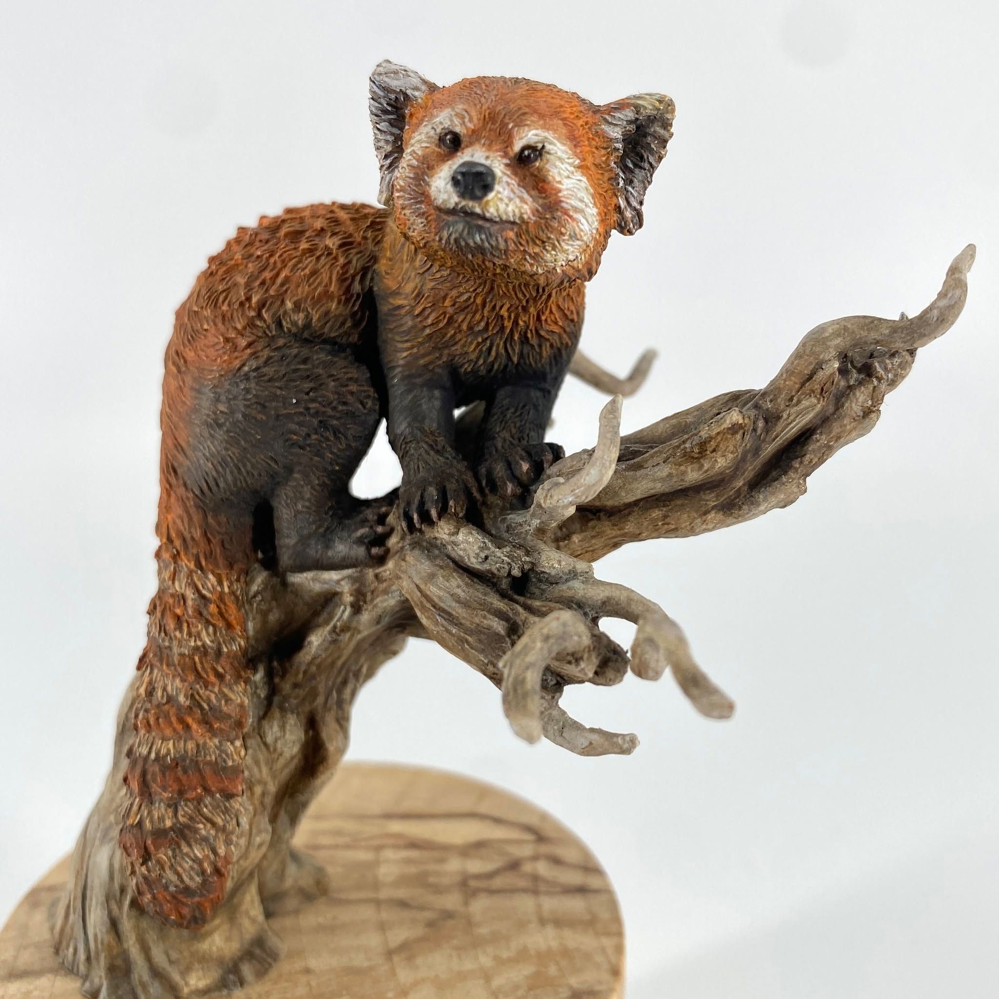 Finely painted model of a red panda with a bushy ringed tail, perched on a weathered driftwood branch.